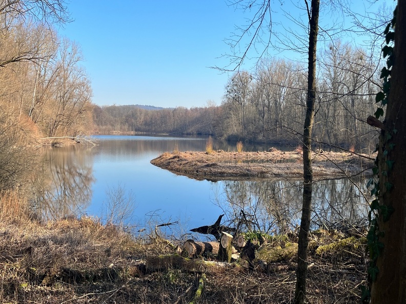 23-02-13 14-33-36 4228.jpeg